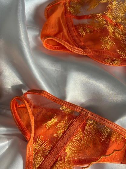 Desert Rose Lingerie Set 🧡✨