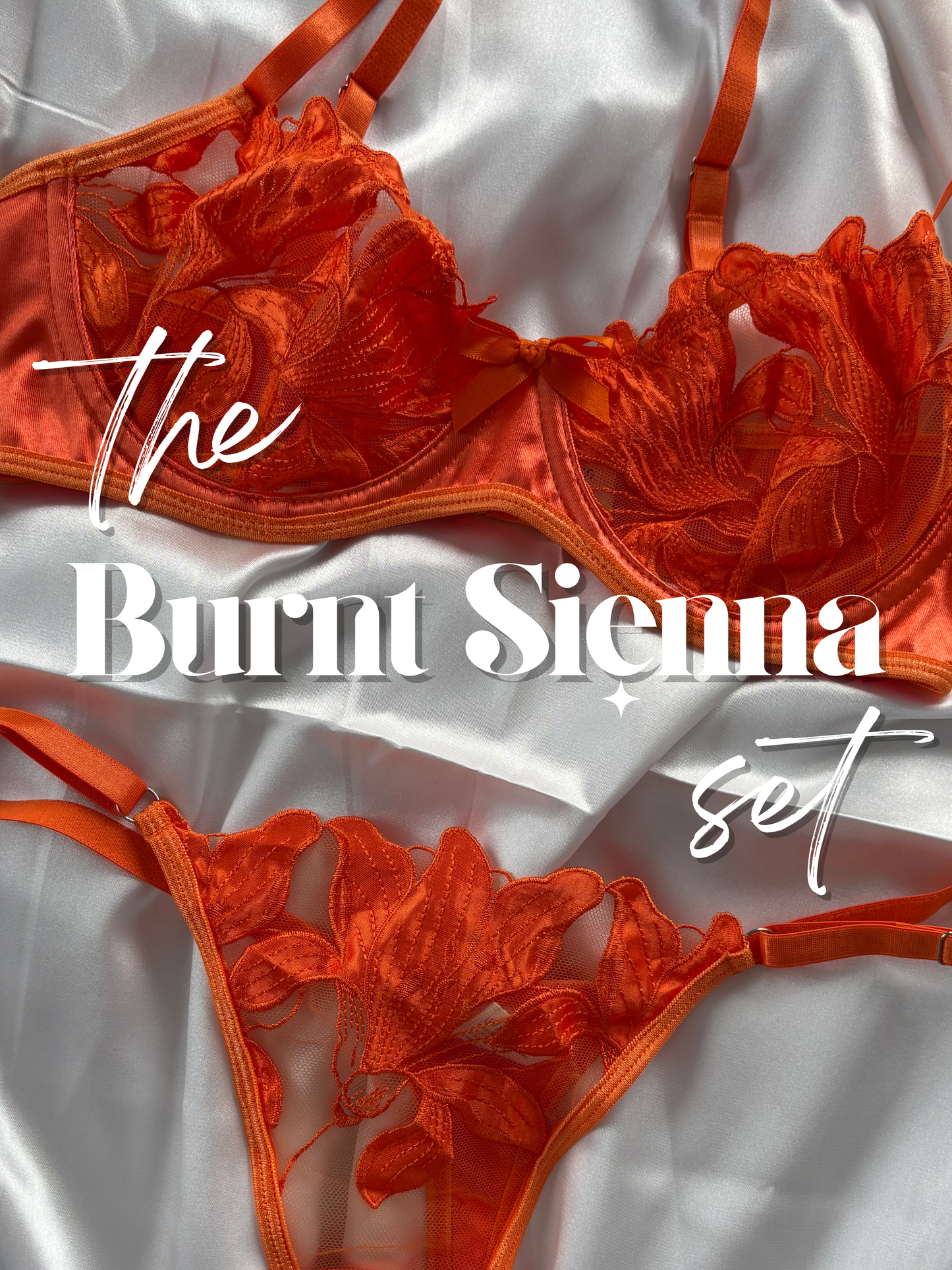 Burnt Sienna Lingerie Set