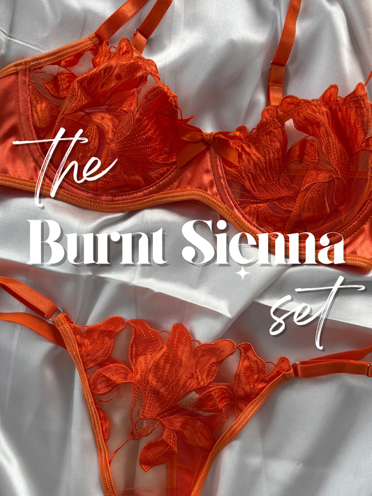 Burnt Sienna Lingerie Set