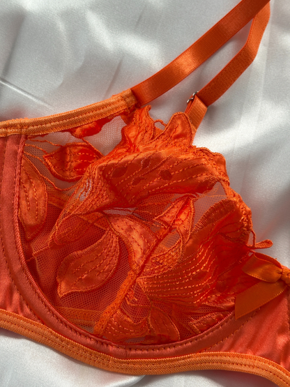 Burnt Sienna Lingerie Set